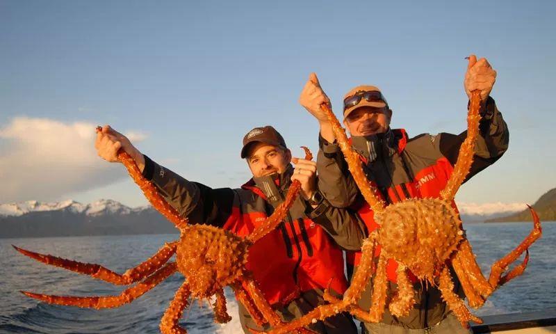 医生|干5天能赚69万的职业，却平均每7天就有一人丧命！你敢做吗