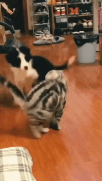 神回复 神回复:我是学医的,我爸是法医,我大一挂了解剖,差点被打断腿