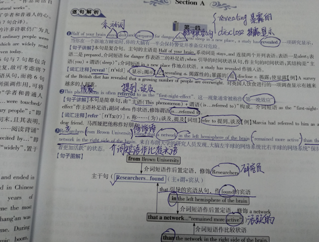 大树说教育|英语四级的难度相当于高考英语多少分？学姐表示，两者可比性不大