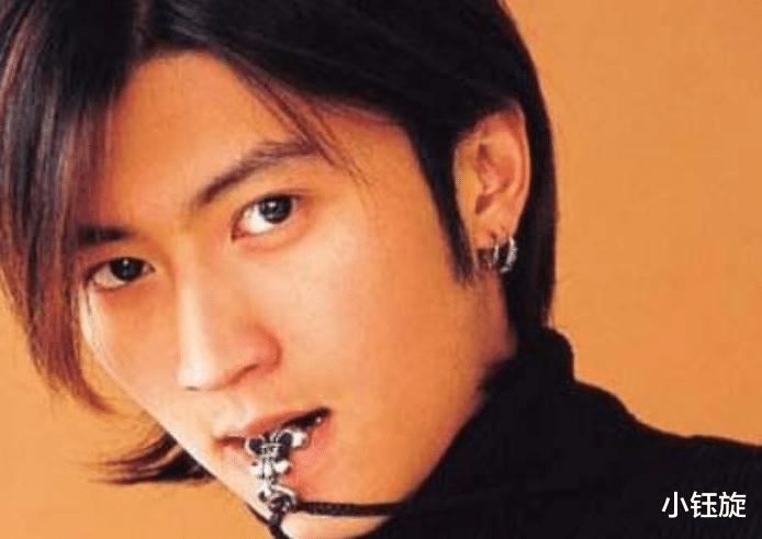 谢霆锋|大儿子不再沉默，一把扯下谢霆锋张柏芝的遮羞布，难道都是在他预料之中吗?