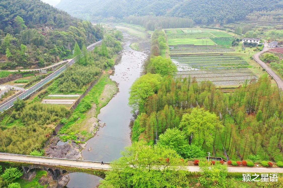 福建省 宁波规模最大的牡丹花园，居然深藏了五年，为啥不欢迎观赏