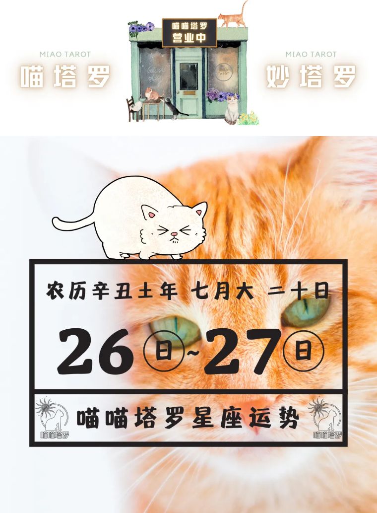 喵喵的塔罗|喵喵塔罗，十二星座运势：8月26日~8月27日