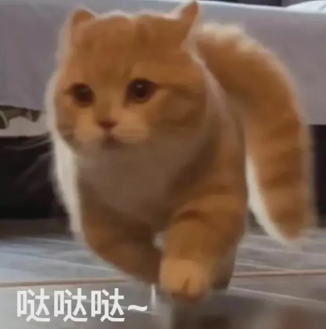 蛋糕裙 护肤指南｜原来这么多的问题归根结底都跟“皮肤微生态”有关！