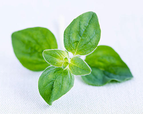 鸡胸肉 屯了一堆面膜不知道怎么用?不同情况下选择不同的面膜