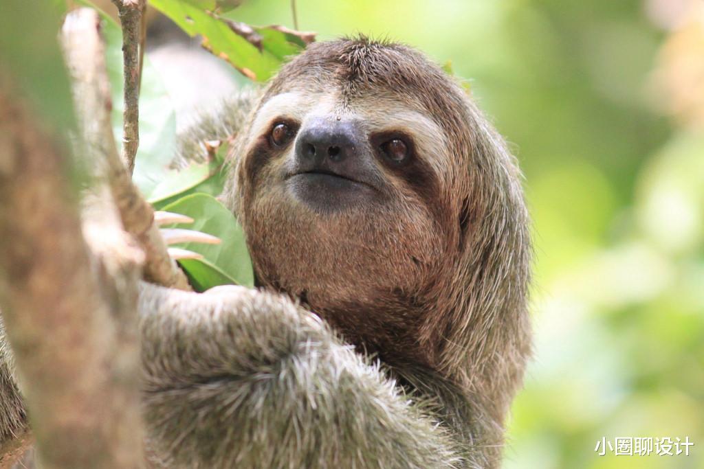 混凝土|17个大部分人都不知道的冷知识！人类大腿比混凝土还要坚固