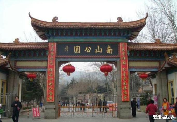 一起走遍世界 笑疼肚子！山东一景区内大猩猩，自备吸管，向游客要奶喝