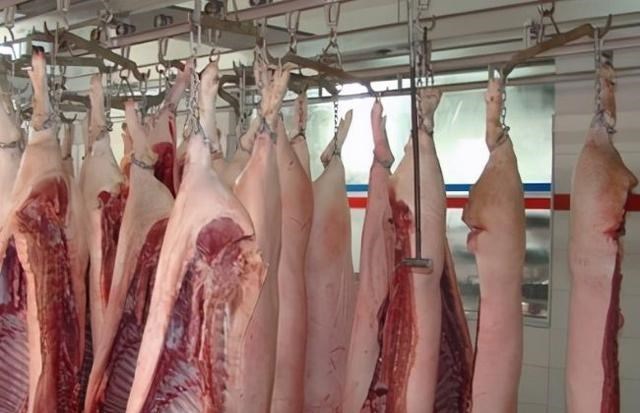 生猪价格 2021年猪价再度“变天”？居民开始抢肉，过年能吃上10元肉吗？