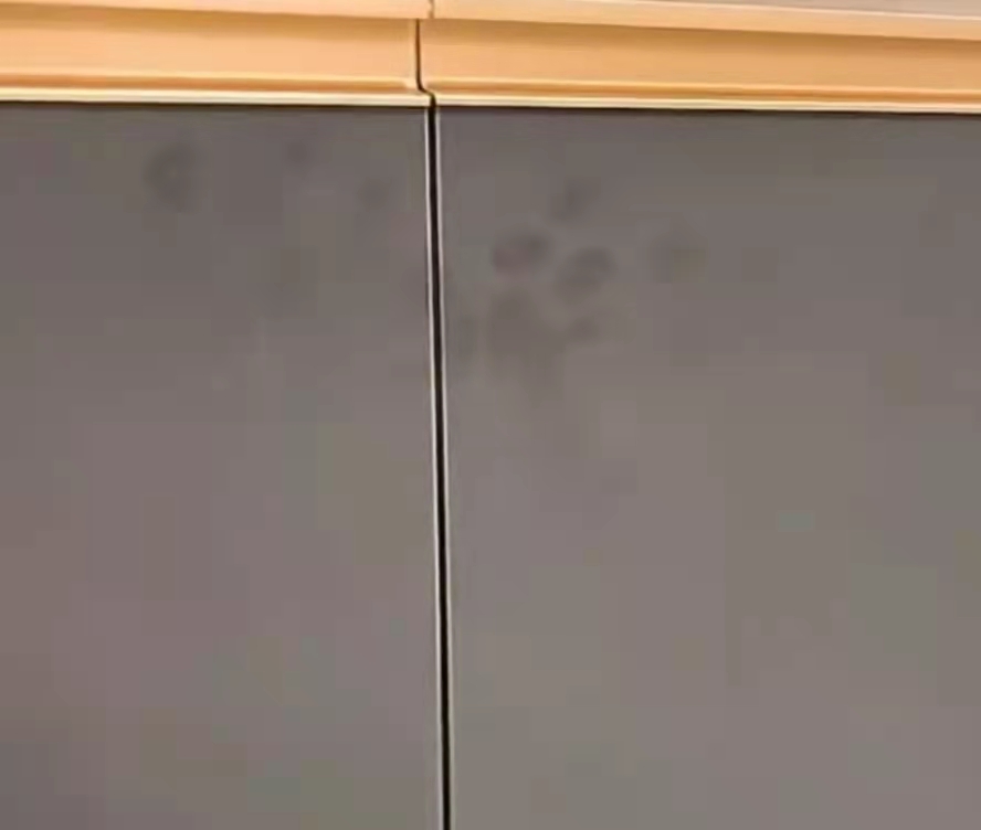 家居编辑麦月|极简风当道,无主灯横行,当下流行的装修设计,真的适合懒人吗?