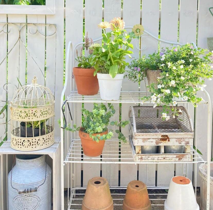 8㎡的狭长小道,也能建漂亮花园,对于阳台党来说非常值得借鉴