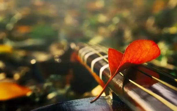 英超|人过五十，调整心态，别说这五种话