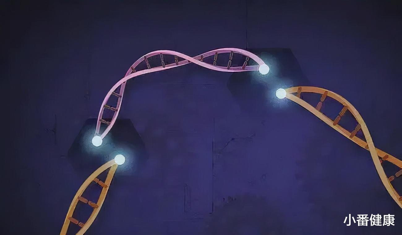 科学家 乙肝TLR受体激动剂，不同作用机理，早期如何被科学家阐明？