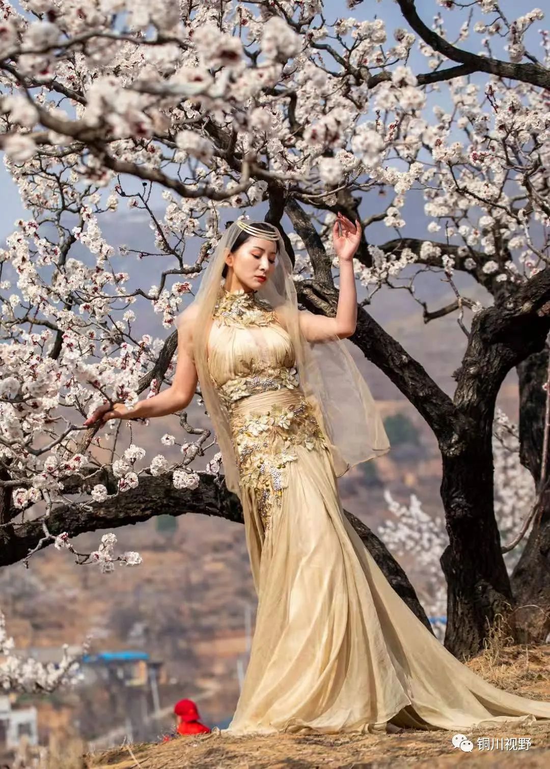 铜川周春辉 气球[【作者：铜川陈广建】