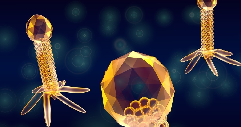 微生物污染 微生物影响着我们的生活