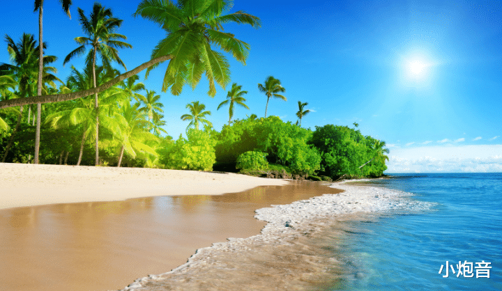 |钓鱼玩具的故事