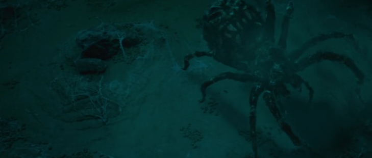 云南虫谷|稳！准！狠！每集时间太短，不过瘾