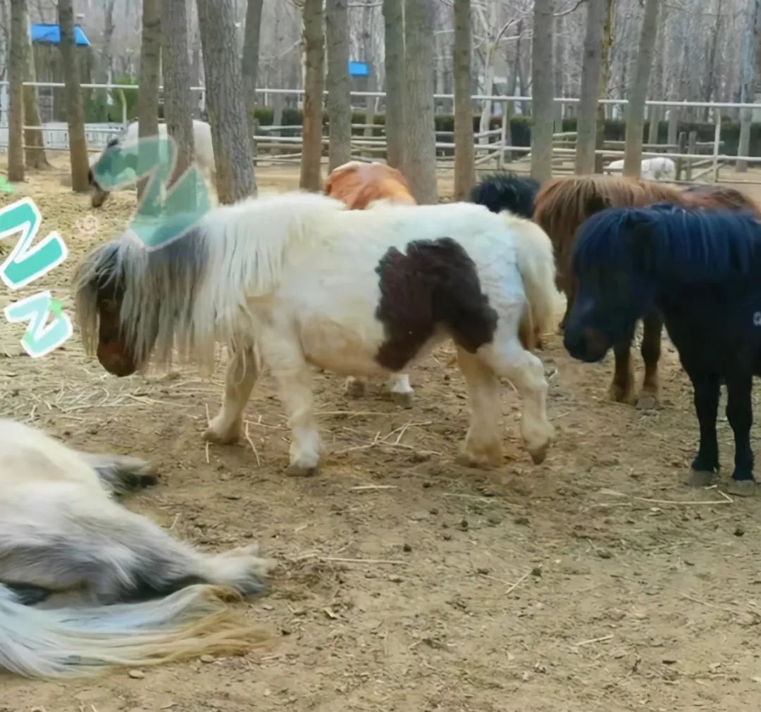 于谦|于谦，相声界的头号玩家