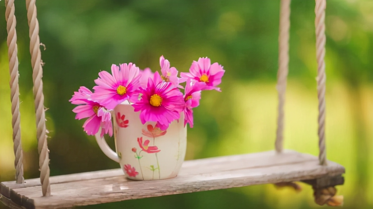 情蜚蜚|人这一生，只需做好两件事就够了，别知道得太晚
