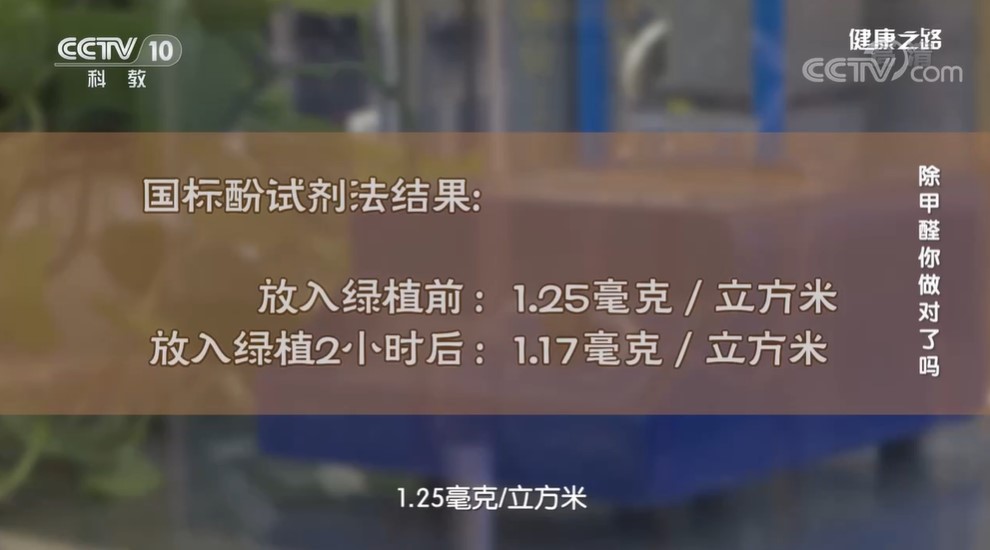 LoveYoung爱尚氧芭|实验告诉你，哪些东西不能除醛，哪些可以！
