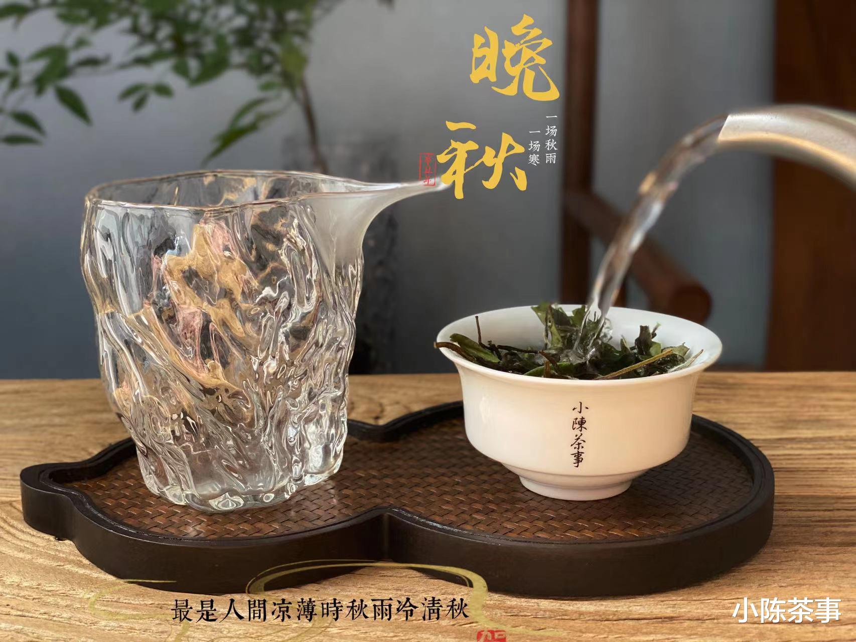 茶叶|洗茶真的更加卫生吗?白茶、绿茶、红茶,都需要洗一遍才能喝?