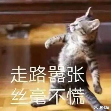 李若彤|55岁变这样！谁能猜到会是她啊？