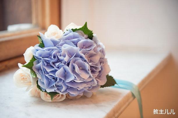 教主儿儿 参天大树，直插云霄，是因其于无数日夜中默默生长