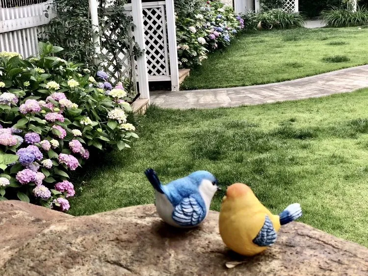 |买了别墅花园房，用5年时间，亲手设计打造400㎡别墅花园，太美了