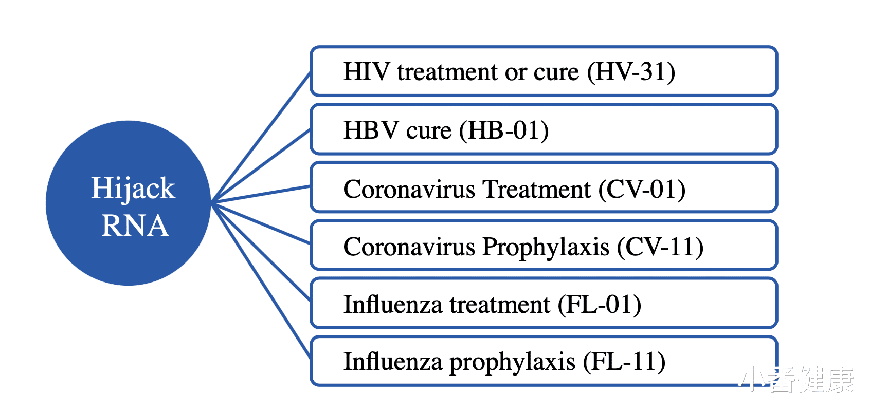 核糖核酸 乙肝在研新药ENOB-HB-01,FDA接受Pre-IND,一种新机制劫持RNA