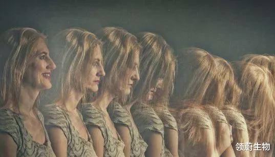 领蔚生物|当你一有负面情绪,成千上万的细胞就死掉了...…