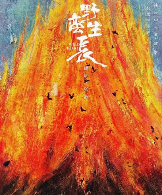 小雨星座爱情故事 赵丽颖又一新剧被曝光，搭档的男主有颜值又有实力，你期待吗？