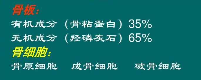 关于孩子长高那些事儿|育儿科普知识，原来孩子是这样长高的！