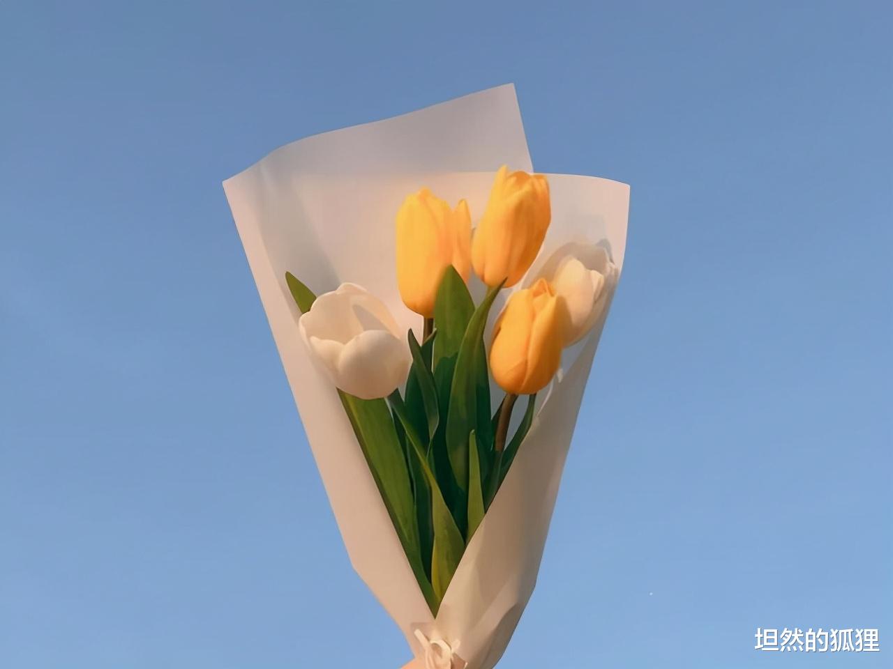 坦然的狐狸 人生有一种醒悟：别想太多，真的没有什么用