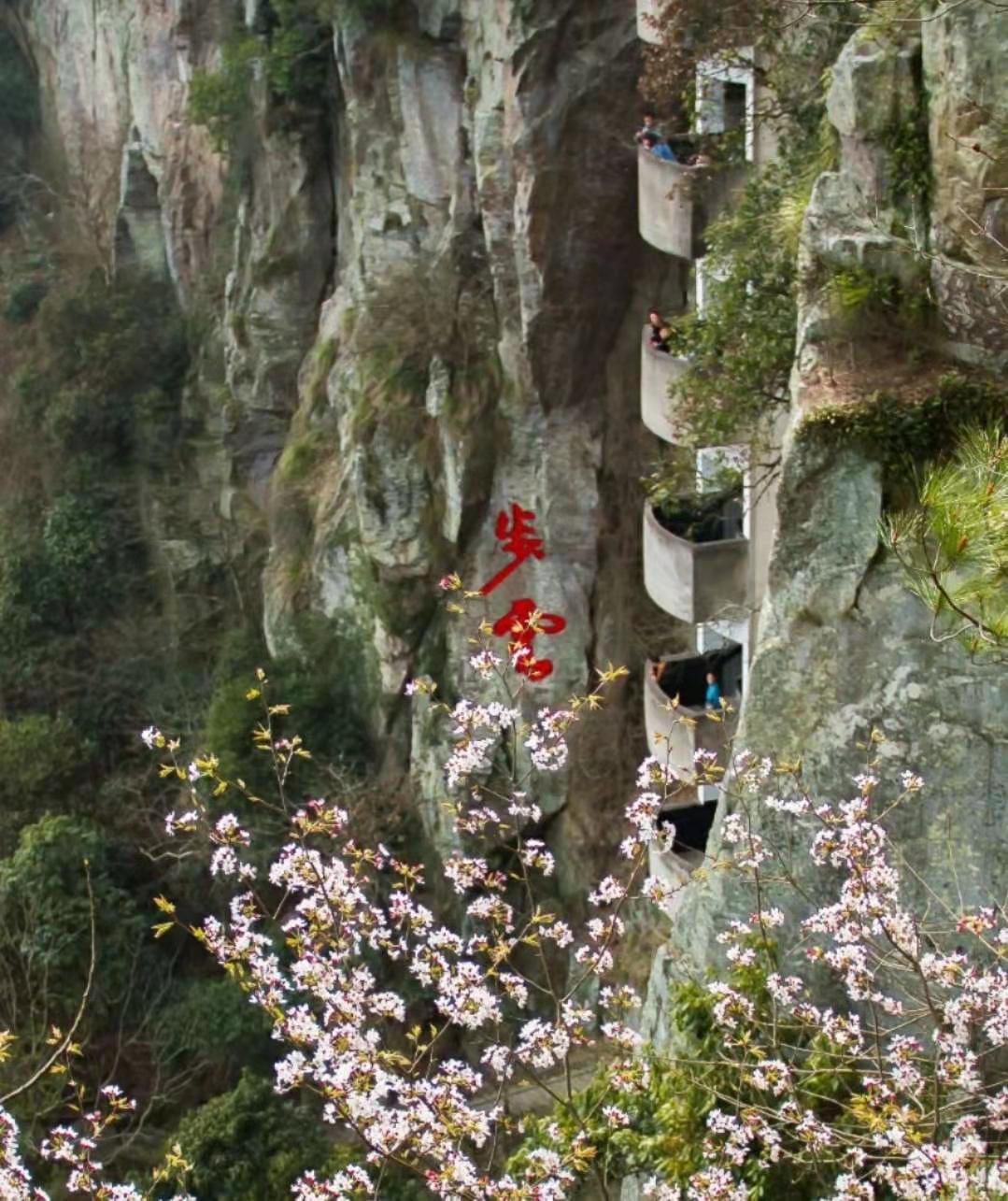 湖南 强烈推荐！宁波醉美樱花公路打卡攻略！