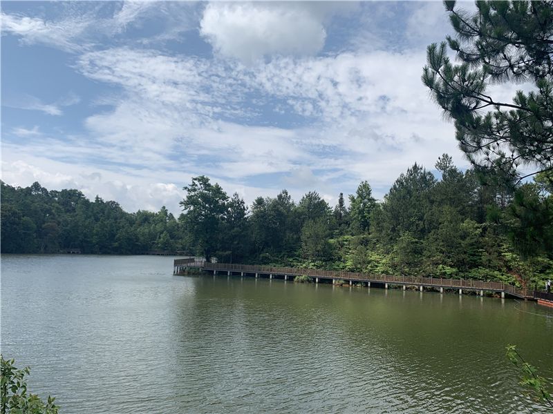 旅行|旅行表达爱，别样父亲节！这个父亲节带着爸爸来文山旅游吧~