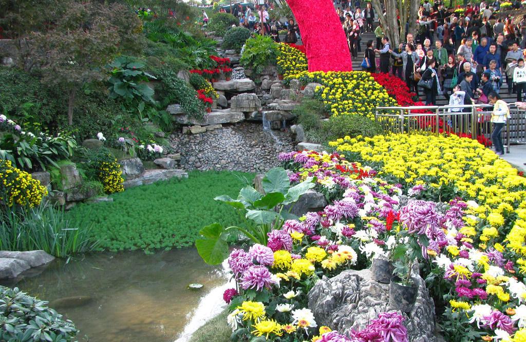 家有三经 门票0元！重庆这个公园火了，植被多达50万平方米，很受市民欢迎