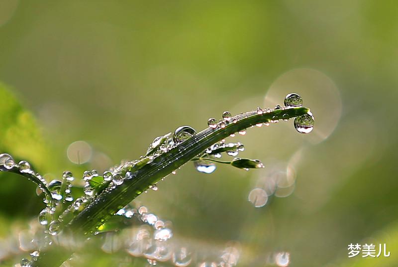 梦美儿 不自重自爱，后患无穷
