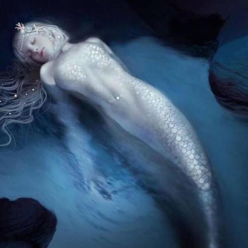 科学家 世界上有没有鲛人？为什么人们不愿意相信鲛人的存在？