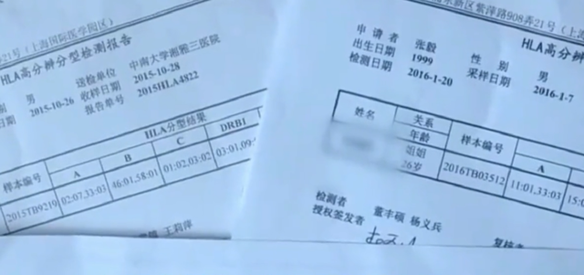 张婷 17岁弟弟身患白血病，想让姐姐捐献骨髓，结果婆婆出面拒绝！