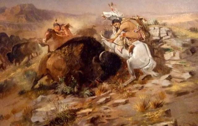 美洲 美国军官表示：尽可能屠杀野牛，多死一头野牛就能少一个印第安人