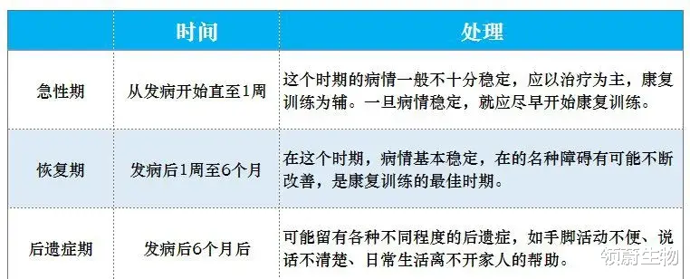 领蔚生物|一文带读懂偏瘫的分期及康复训练方案
