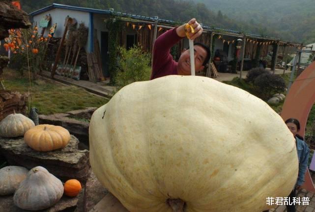 太空 为什么上过太空的种子,结出来的果实都会大一圈?