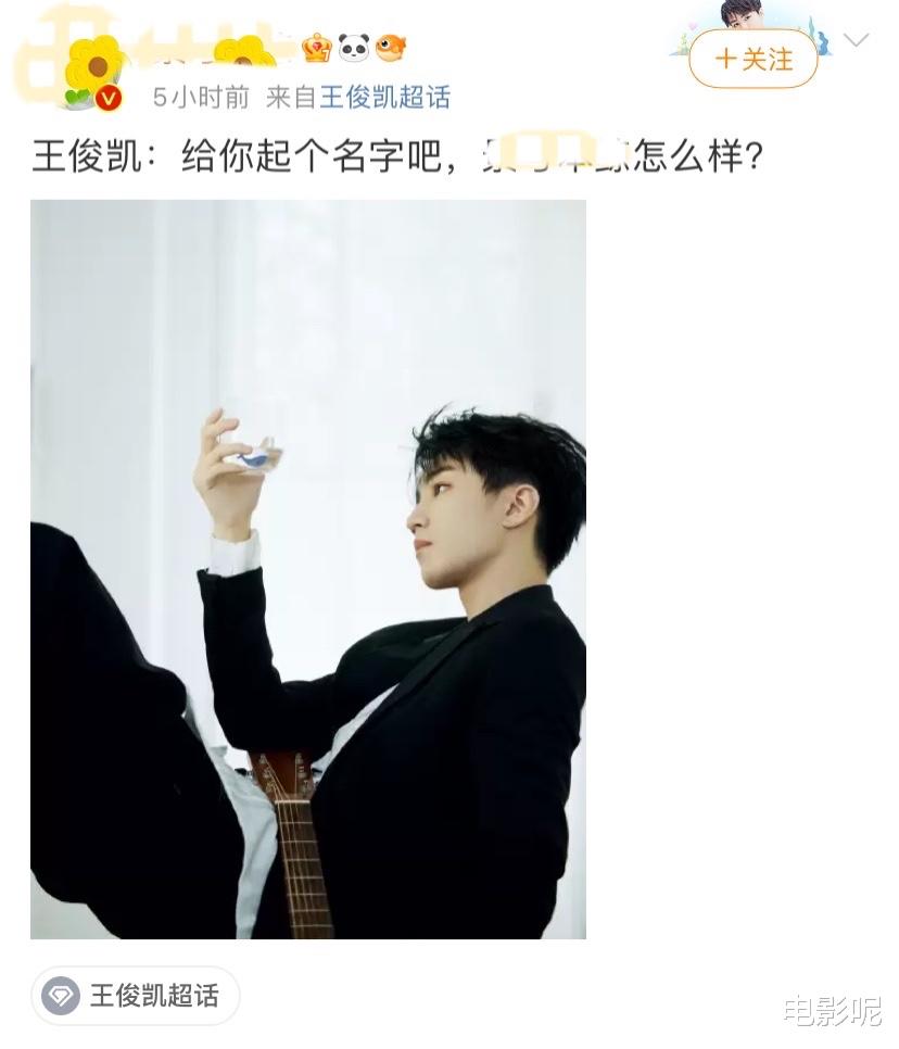 王俊凯|王俊凯午后大片曝光，粉丝花式排序，为图片编连续剧，想象力丰富