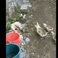 半暖时光|这些真实的电影镜头,有多少人误认为是特效?被骗了很多年,哈哈