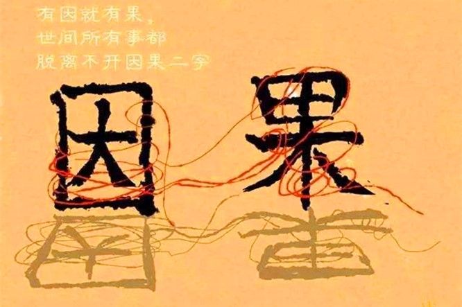 小飞侠熙熙 世事无对错，只有因和果！