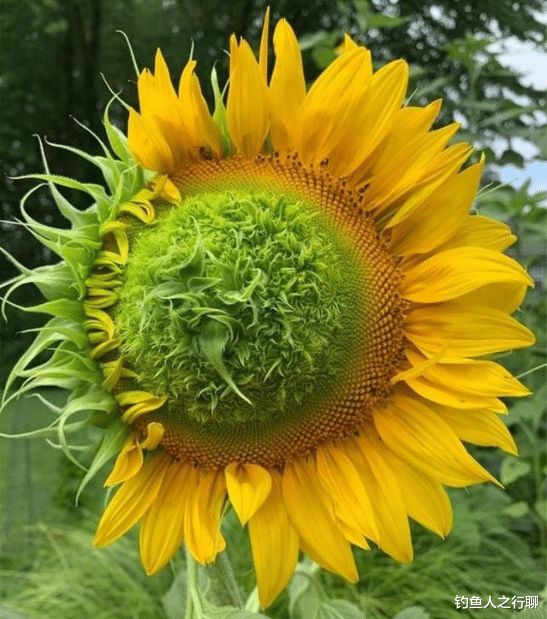 |27张活久见的照片，看完涨姿势了