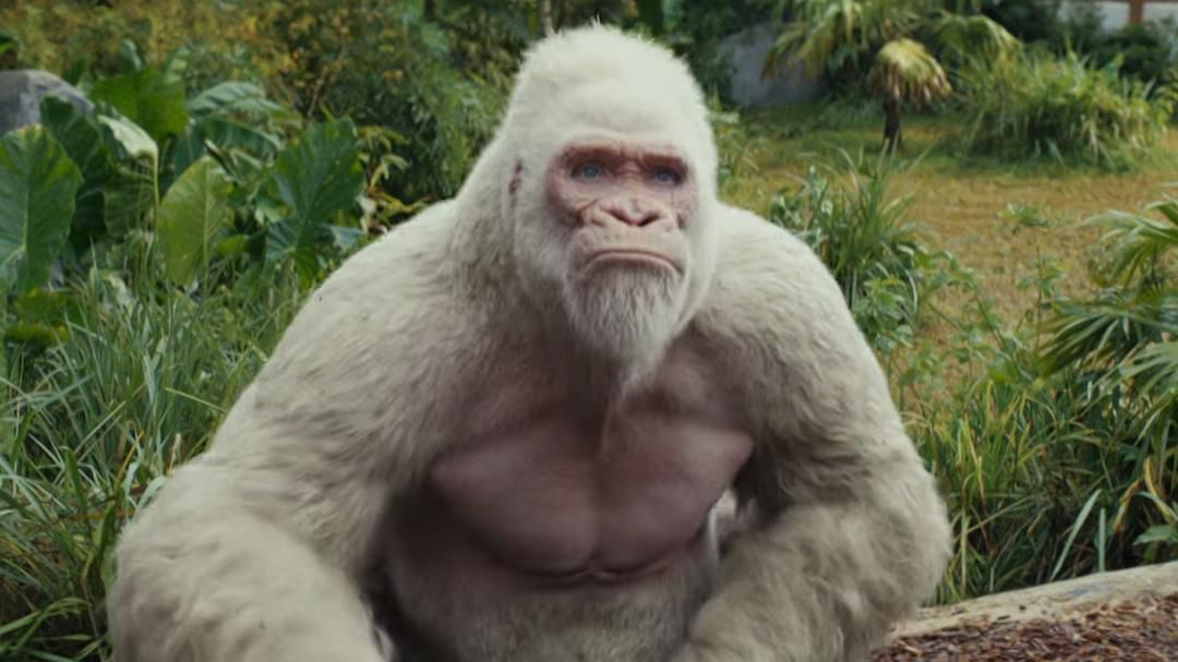  陆地单挑最强生物