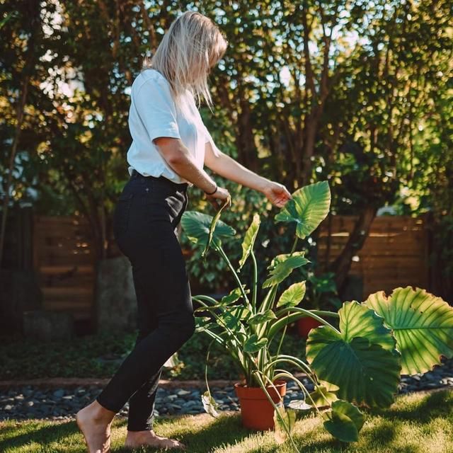 这位德国女主，一人独居，悠闲自在，99平小家温馨精致，超治愈！