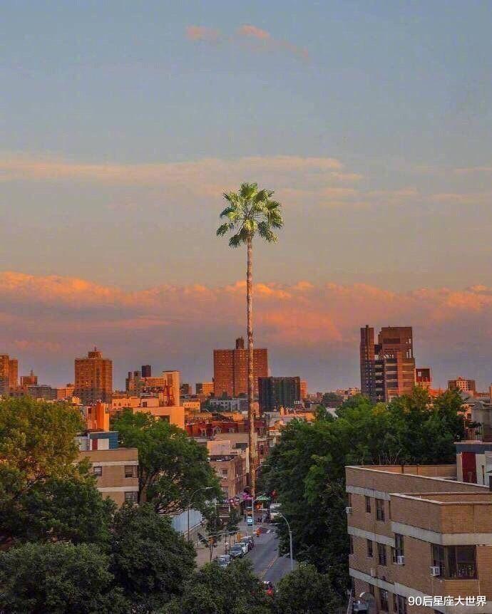 星座性格|职场中，容易令人感到放心的3个星座，办事非常稳妥