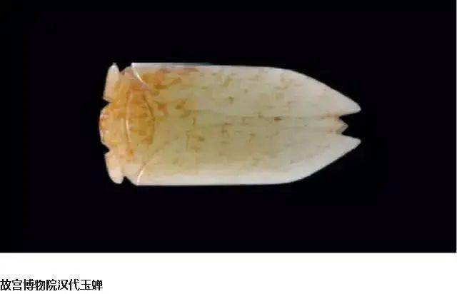 雕刻|浅论汉代玉蝉