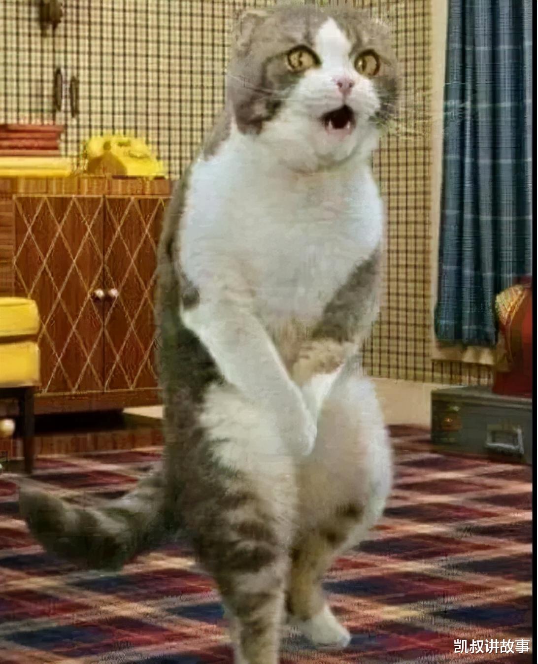 凯叔讲故事|家长群又又又又“翻车”了,现在退群还来得及吗!哈哈哈哈哈