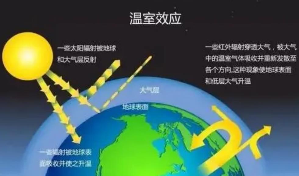 有三种“物种”，有可能取代人类地位？人类或许不能一直统治地球